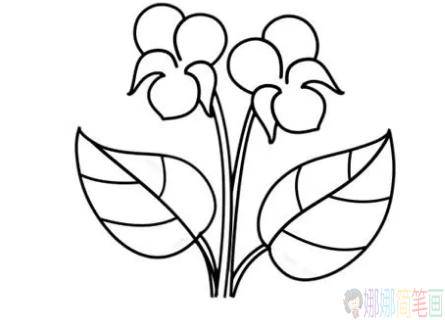 紫罗兰花怎么画,紫罗兰花简笔画