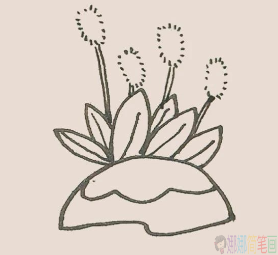 狗尾草简笔画图片,狗尾草简笔画步骤
