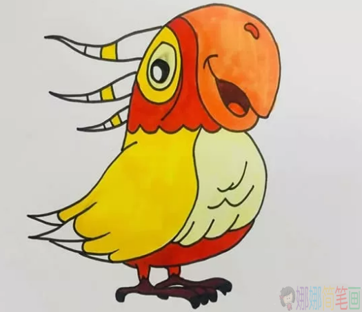 鹦鹉简笔画图片,儿童简笔画鹦鹉画法