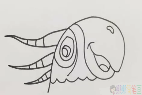鹦鹉简笔画图片,儿童简笔画鹦鹉画法