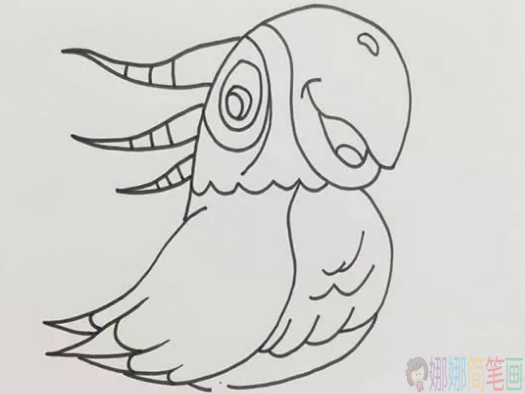 鹦鹉简笔画图片,儿童简笔画鹦鹉画法