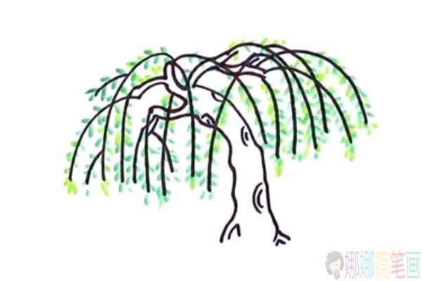 简单漂亮的柳树简笔画图片教程