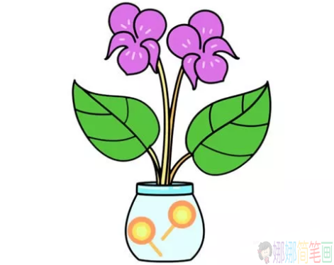 紫罗兰花怎么画,紫罗兰花简笔画