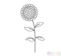 太阳花简笔画,向日葵简笔画图片
