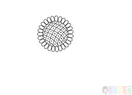 太阳花简笔画,向日葵简笔画图片