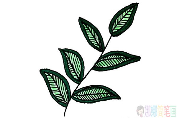 简单好看的彩色叶子简笔画图片