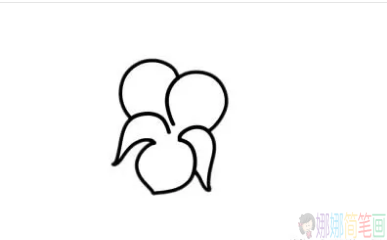 紫罗兰花怎么画,紫罗兰花简笔画