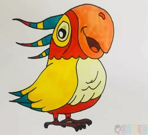鹦鹉简笔画图片,儿童简笔画鹦鹉画法