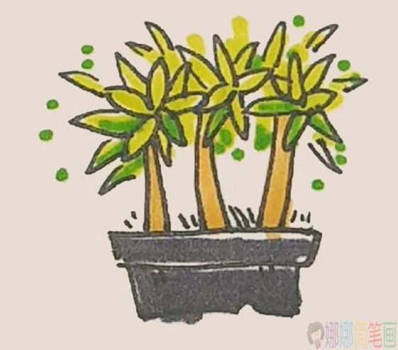 简笔画盆栽怎么画