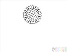 太阳花简笔画,向日葵简笔画图片