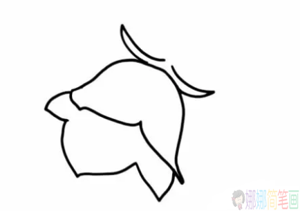 漂亮的风铃草花朵简笔画图片