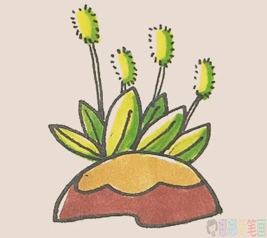 狗尾草简笔画图片,狗尾草简笔画步骤