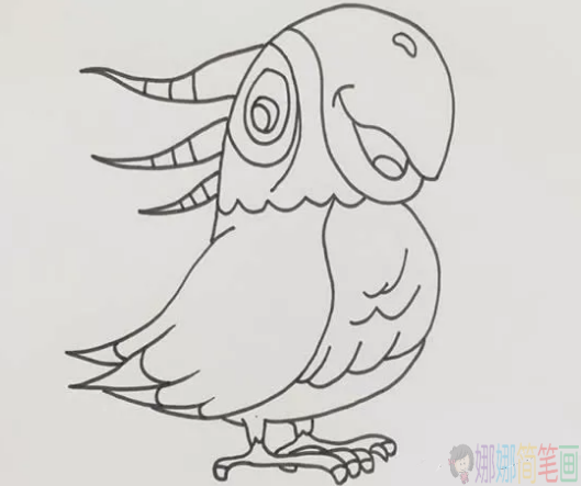 鹦鹉简笔画图片,儿童简笔画鹦鹉画法