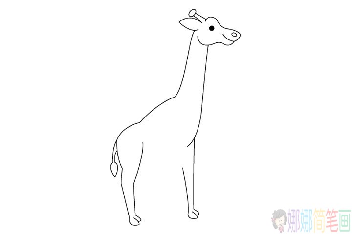 儿童简笔画长颈鹿怎么画