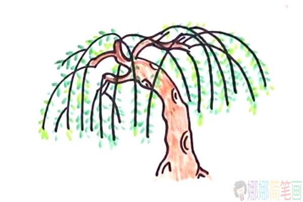 简单漂亮的柳树简笔画图片教程