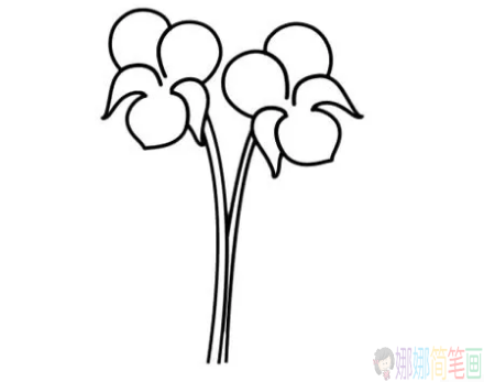 紫罗兰花怎么画,紫罗兰花简笔画