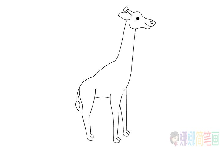 儿童简笔画长颈鹿怎么画
