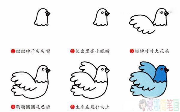 和平鸽简笔画图片,鸽子怎么画