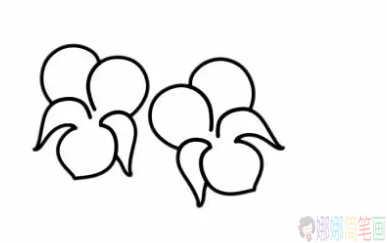 紫罗兰花怎么画,紫罗兰花简笔画