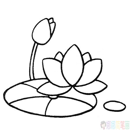 简单漂亮的荷花简笔画图片教程