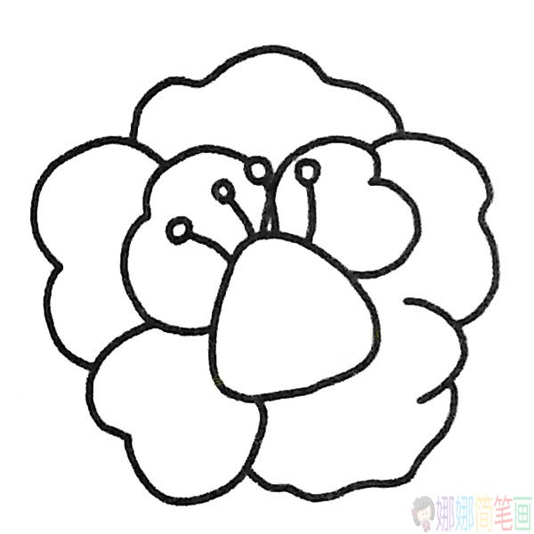 简单牡丹花简笔画图片