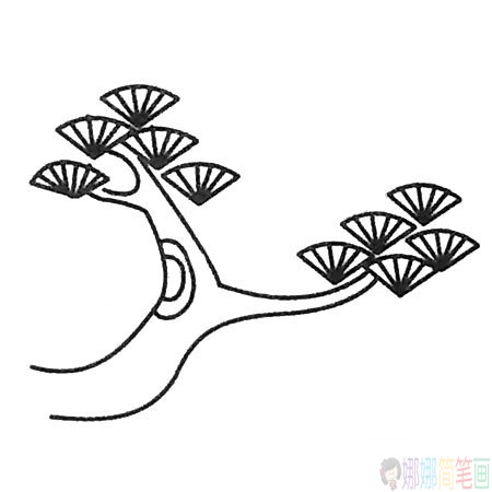 简单漂亮的松树简笔画图片