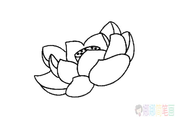 写实的漂亮荷花简笔画图片教程