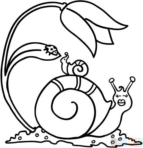 蜗牛简笔画图片