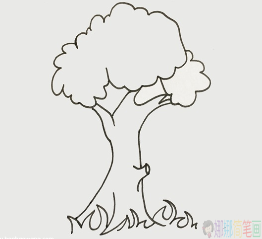 简单漂亮的大树简笔画,大树怎么画
