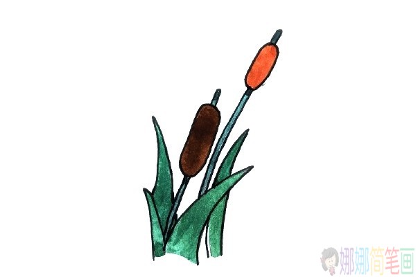 花朵植物水彩简笔画图片