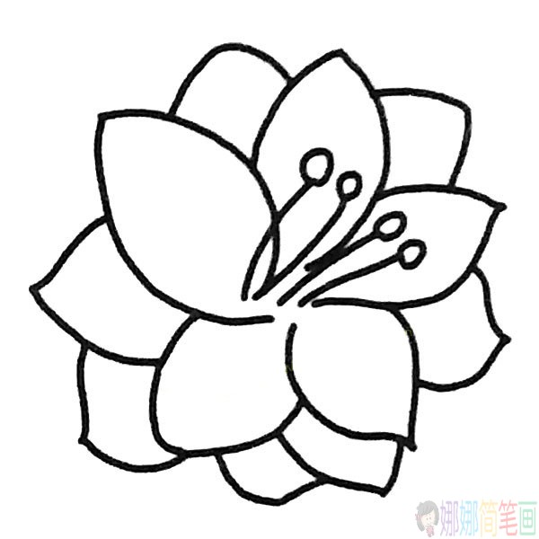 简单牡丹花简笔画图片