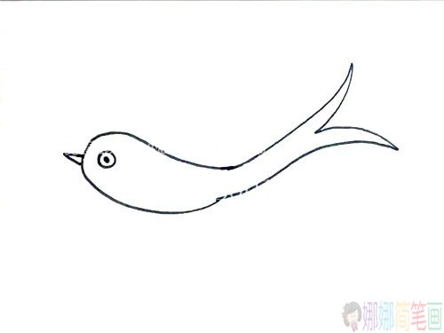 简单五步学画小燕子简笔画教程