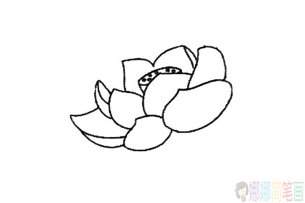 写实的漂亮荷花简笔画图片教程