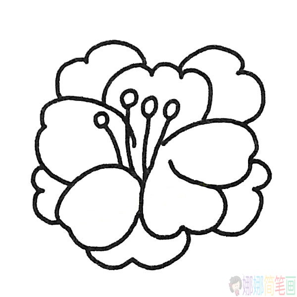 简单牡丹花简笔画图片