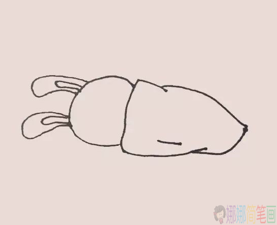 睡觉的小兔子简笔画图片教程