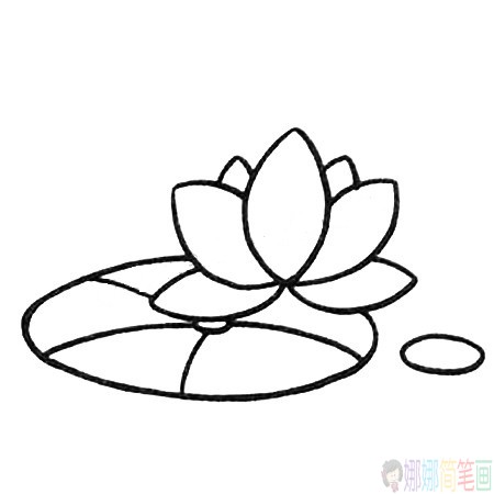 简单漂亮的荷花简笔画图片教程