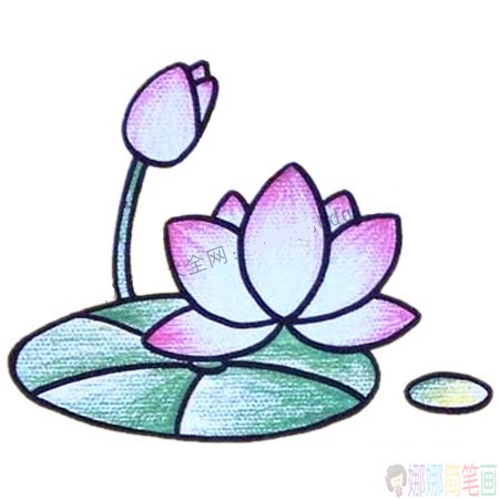 简单漂亮的荷花简笔画图片教程