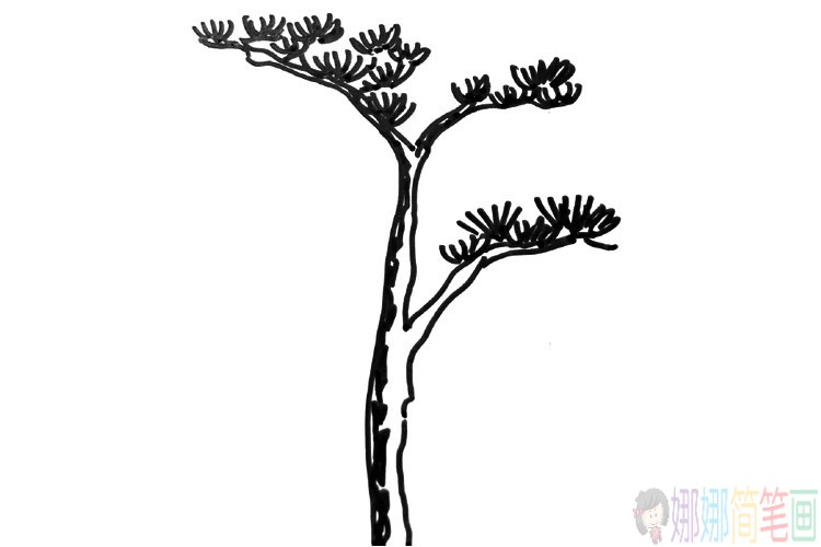 各种漂亮的大树简笔画图片