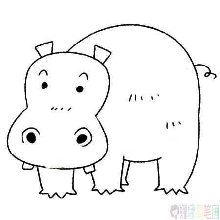 胖嘟嘟的河马简笔画图片