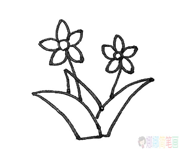 简单好画的水仙花简笔画