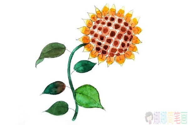 花朵植物水彩简笔画图片