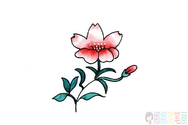 花朵植物水彩简笔画图片