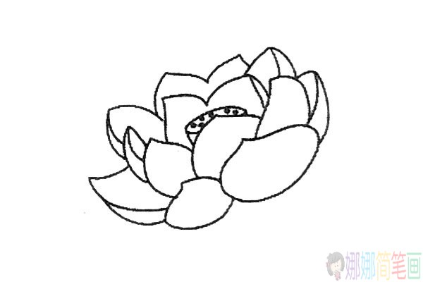 写实的漂亮荷花简笔画图片教程