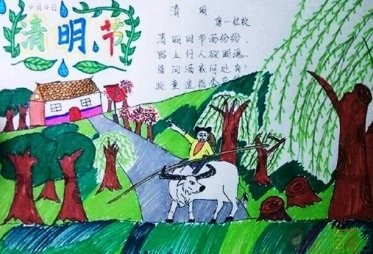 小学生清明节手抄报图片