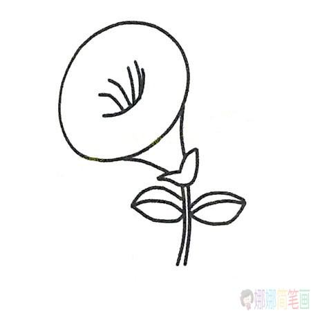 一组喇叭花儿童简笔画图片