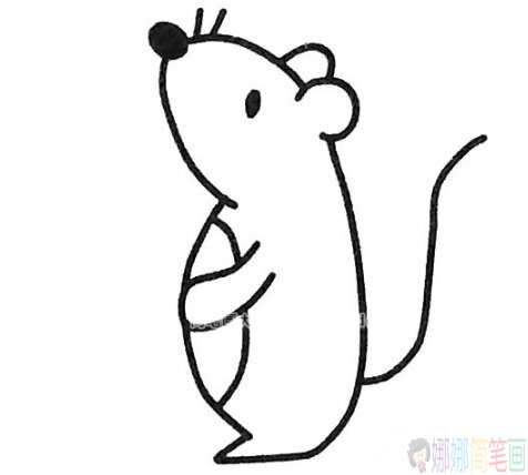 卡通小老鼠简笔画法,小老鼠简笔画图片