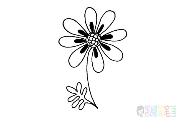 简单大气的菊花简笔画教程