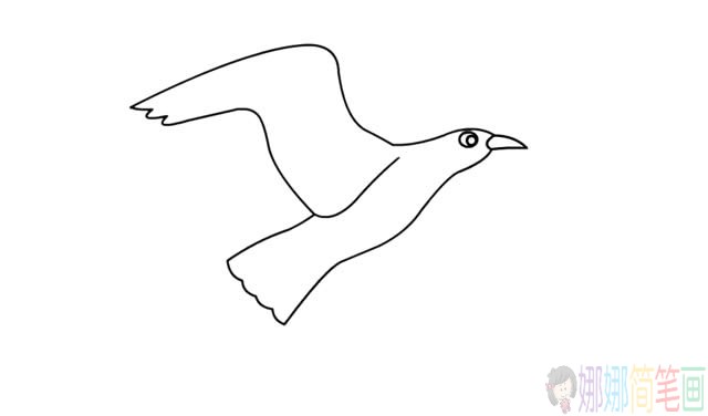 海鸥简笔画,漂亮的海鸥简笔画步骤画法图片大全