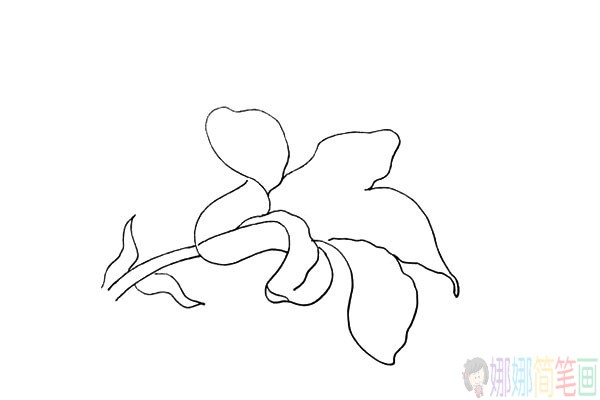 百合花儿童简笔画图片教程