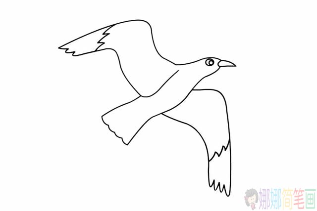 海鸥简笔画,漂亮的海鸥简笔画步骤画法图片大全